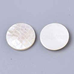 Natural White Shell Mother of Pearl Shell Cabochons&nbsp;SSHEL-N034-42