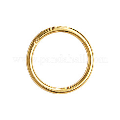 316L Surgical Stainless Steel Hoop Cartilage Earrings&nbsp;WGB51CA-62