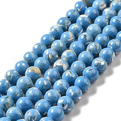 Synthetic Turquoise and Sea Shell Assembled Beads Strands&nbsp;G-D482-01C-04