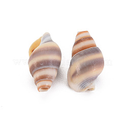 Natural Spiral Shell Beads&nbsp;LS-SSHEL-T014-46