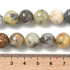 Natural African Opal Beads Strands&nbsp;G-B048-B03-04