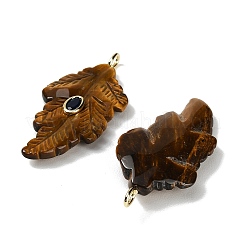 Natural Tiger Eye Carved Pendants&nbsp;G-K372-06G-01