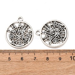 Tibetan Style Alloy Pendants&nbsp;FIND-C094-14AS