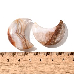 Natural Amethyst Lace Agate Pendants&nbsp;G-A244-08C