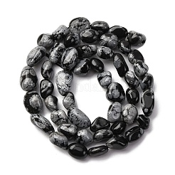 Natural Snowflake Obsidian Beads Strands&nbsp;G-K395-A04-01