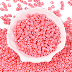 Opaque Baking Paint Glass Seed Beads&nbsp;SEED-T008-02H