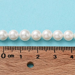 Shell Pearl Bead Strands&nbsp;BSHE-L026-03-6mm