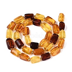 Natural Amber Beads Strands&nbsp;G-N371-23A-01
