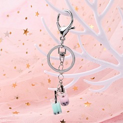 Iron Alloy Lobster Claw Clasp Keychain&nbsp;KEYC-D016-P