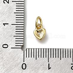 Brass Micro Pave Clear Cubic Zirconia Pendants&nbsp;X-ZIRC-I070-022G