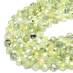 Natural Prehnite Beads Strands&nbsp;G-C116-A07-02