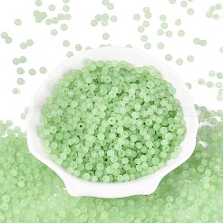 FGB Frosted Transparent Glass Seed Beads&nbsp;SEED-N013-04A-08