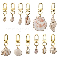 Electroplate Shell Pendant Decorations&nbsp;HJEW-JM03070