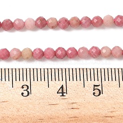 Natural Rhodonite Beads Strands&nbsp;X-G-P553-G06-02A