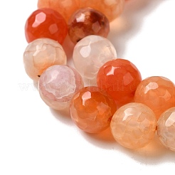 Dyed & Heated Natural Dragon Veins Agate Beads Strands&nbsp;G-P539-A01-15