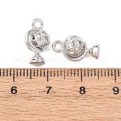 Alloy Charms&nbsp;LS-FIND-C076-02P