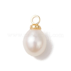 Natural Freshwater Pearl Rice Charms&nbsp;PALLOY-JF04858-01