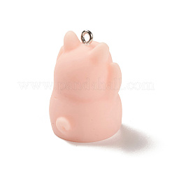 Opaque Resin Pendants&nbsp;RESI-K023-03B