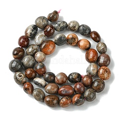 Natural Fossil Coral Beads Strands&nbsp;G-G117-A01-02
