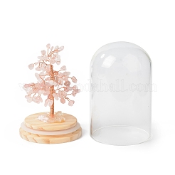 Natural Rose Quartz Chips Money Tree in Dome Glass Bell Jars with Wood Base Display Decorations&nbsp;DJEW-B007-04B