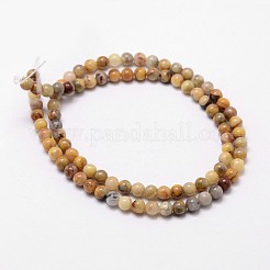 Natural Crazy Lace Agate Beads Strands&nbsp;X-G-D840-70-4mm