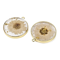 Transparent Clear Epoxy Resin Pendants&nbsp;RESI-XCP0002-33