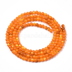 Natural Trochid Shell/Trochus Shell Beads Strands&nbsp;SSHEL-N034-132