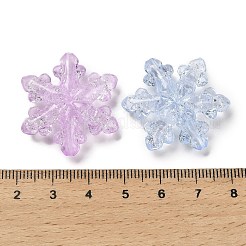 Transparent Acrylic Beads&nbsp;TACR-R001-05A