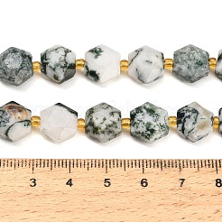 Natural Tree Agate Beads Strands&nbsp;GG-CBA4A3B-B19