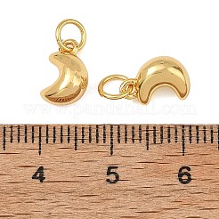 Brass Charms&nbsp;KK-F941-21G