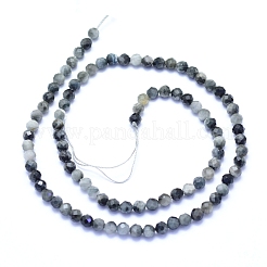 Natural Hawk's Eye Beads Strands&nbsp;G-I279-E14-03