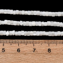 Natural Freshwater Shell Beads Strands&nbsp;SHEL-K006-72C