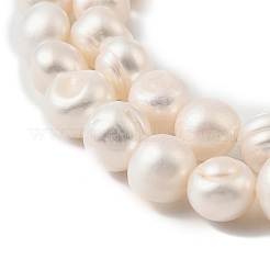 Natural Cultured Freshwater Pearl Beads Strands&nbsp;PEAR-P064-19I-05E