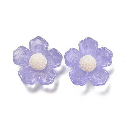 Transparent Resin Cabochons&nbsp;RESI-CJC0013-04-1