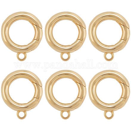 6Pcs Brass Spring Gate Clasps KK-SC0006-42G-02-1