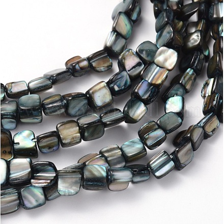 Erose Shell Beads Strands PBB070Y-1