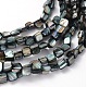 Erose Shell Beads Strands&nbsp;PBB070Y-1