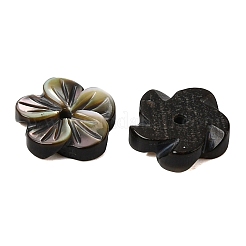 Natural Black Lip Shell Carved Beads&nbsp;SHEL-A006-11A