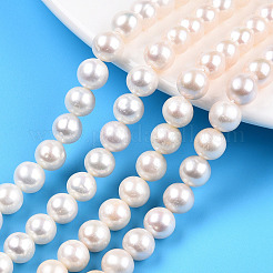 Natural Cultured Freshwater Pearl Beads Strands&nbsp;PEAR-N016-07A
