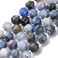 Natural Blue Agate Beads Strands&nbsp;G-P570-F01-01