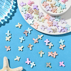 60Pcs Natural Freshwater Shell Beads&nbsp;SSHEL-SC0001-40