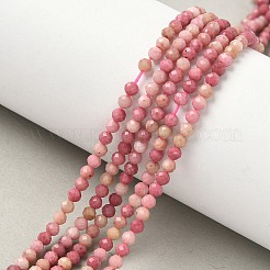 Natural Rhodonite Beads Strands&nbsp;X-G-P553-G06-02A