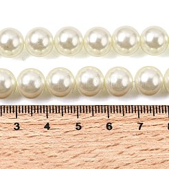 Eco-Friendly Dyed Glass Pearl Round Beads Strands&nbsp;HY-A002-10mm-RB011