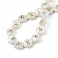 Natural Freshwater Shell Beads&nbsp;LS-SHEL-S276-168X