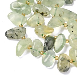 Natural Prehnite Beads Strands&nbsp;G-P604-A02-01