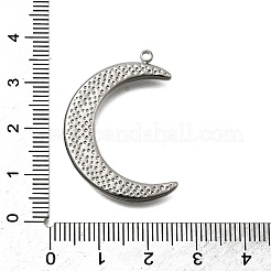 304 Stainless Steel Pendants&nbsp;STAS-Z163-09P
