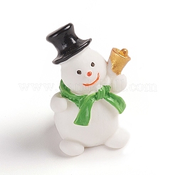 Resin Display Decorations&nbsp;RESI-WH0008-28O