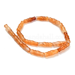 Natural Agate Beads Strands&nbsp;G-Z144-A02-01F
