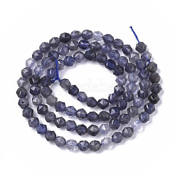 Natural Iolite Beads Strands&nbsp;G-S361-4mm-005