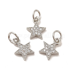 Rack Plating Brass Micro Pave Cubic Zirconia Charms&nbsp;KK-E081-18P